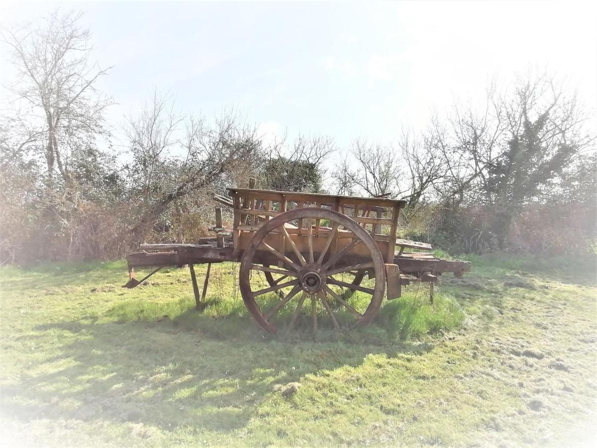Guillac  Domaine De Gaia, Piscine, Petanque, Ping Pong, Proche Saint-Emilion B&B 외부 사진